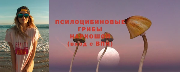 крисы Переславль-Залесский
