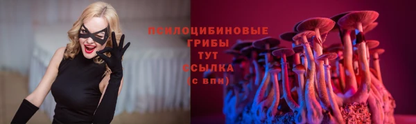 не бодяженный Магадан