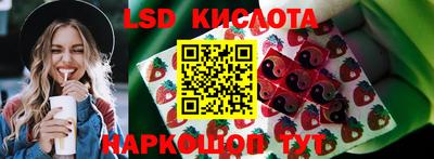 PSILOCYBIN Балахна