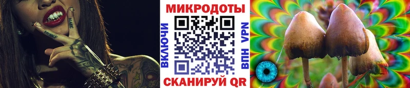 Псилоцибиновые грибы Psilocybine cubensis где найти Всеволожск