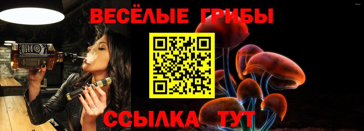 Галлюциногенные грибы Psilocybe  Псилоцибиновые грибы Magic Shrooms  Вход с VPN  Всеволожск 