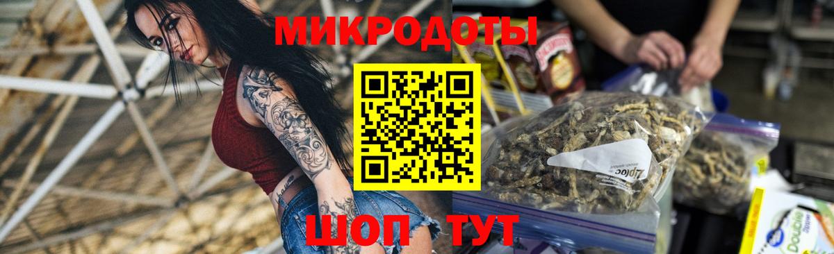 Галлюциногенные грибы Psilocybe Всеволожск